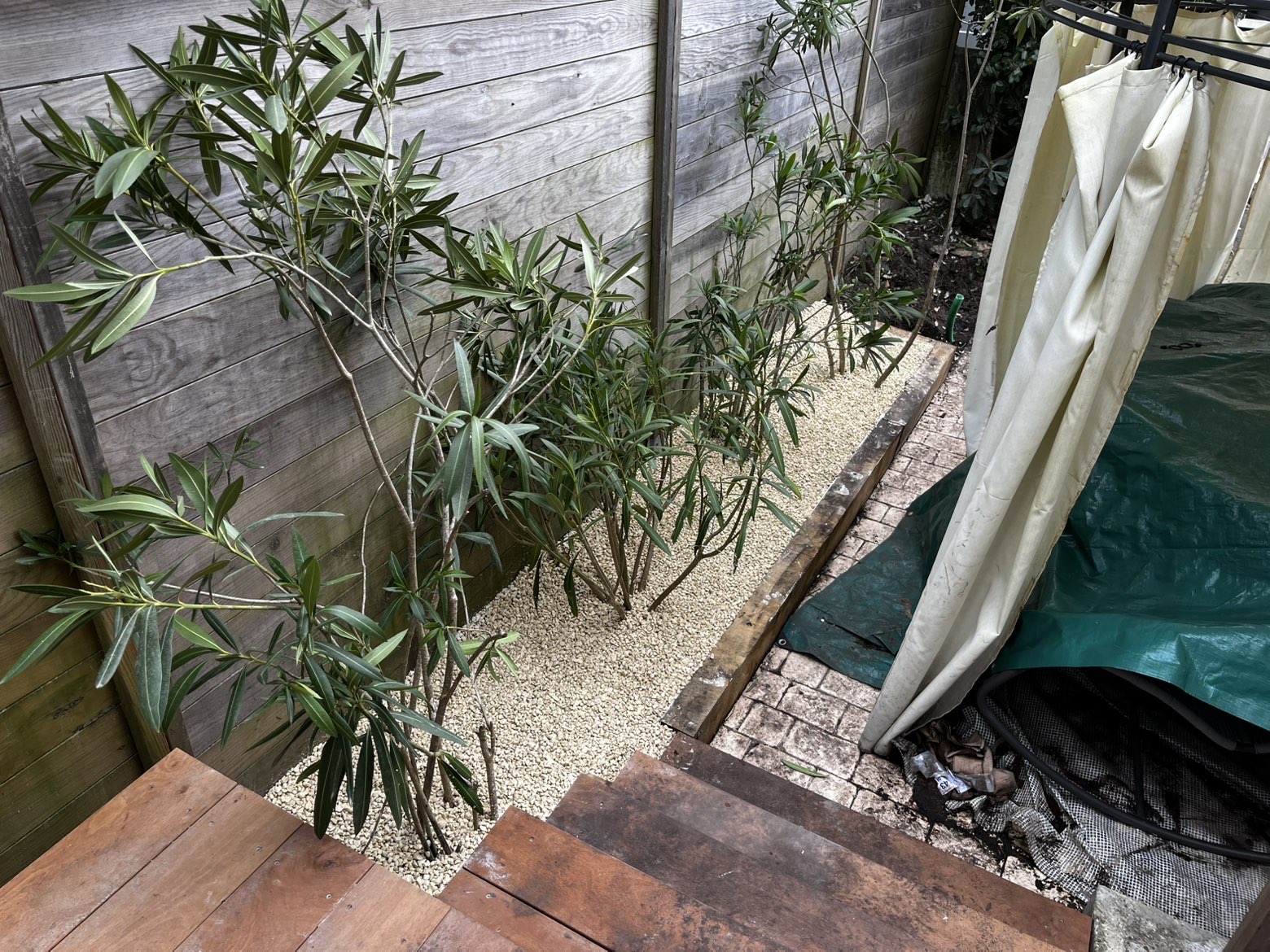 Après — jardin aménagé