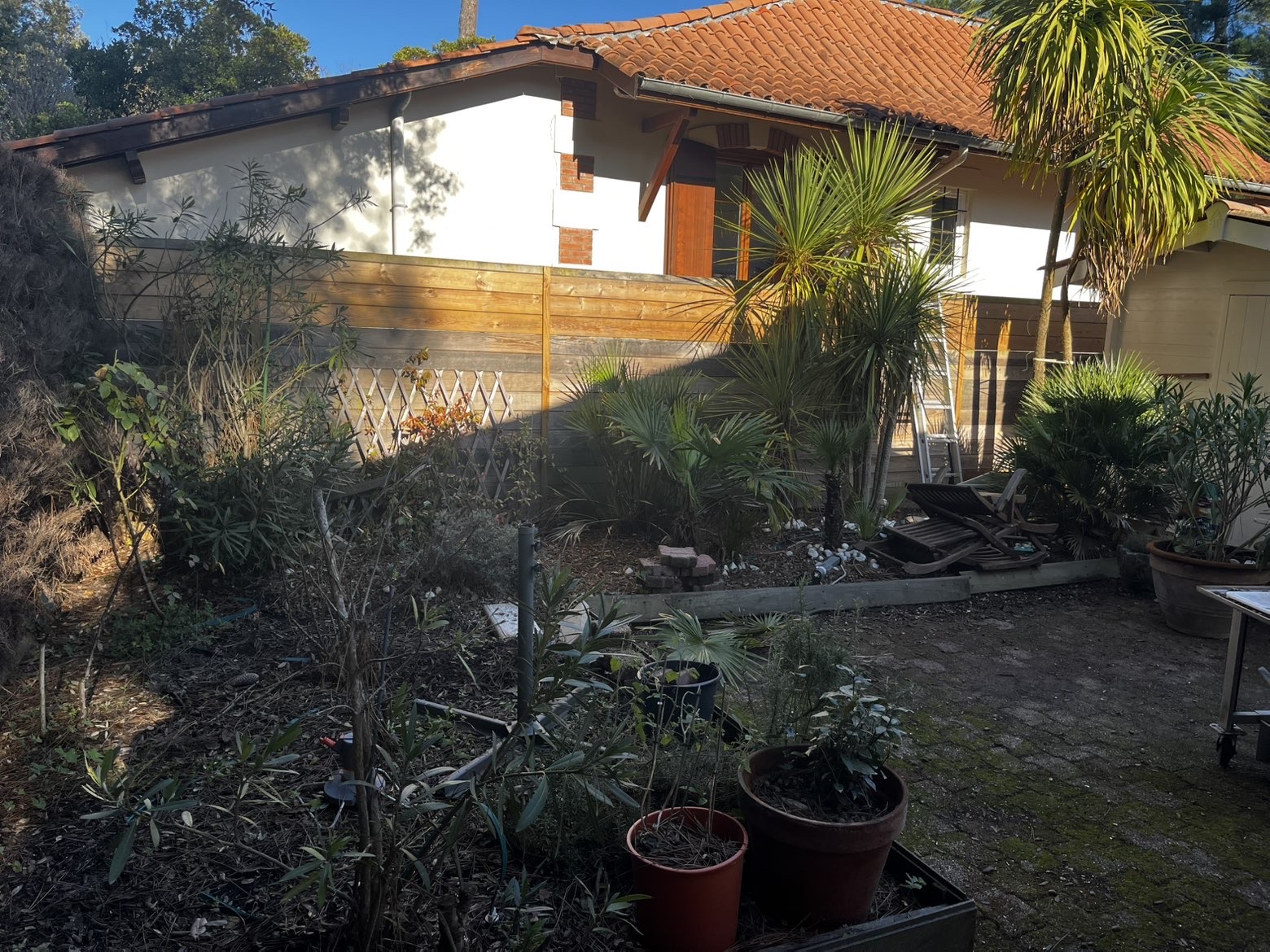Avant — jardin en friche