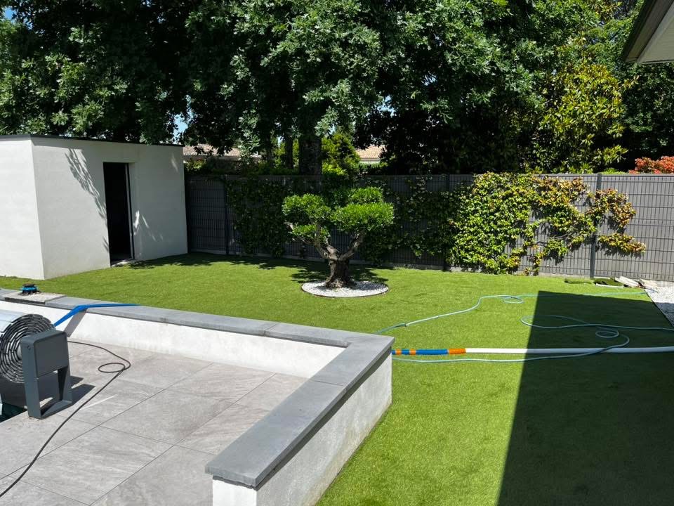 Pelouse et arbre taillé — Brettes Espaces Verts
